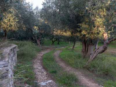 Percorriamo l'arteria che penetra nelle campagne e dopo un chilometro, sulla sinistra, avvistiamo un via sterrata che scende sul letto del corso d'acqua scomparso